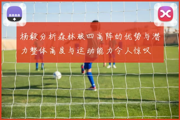 杨毅分析森林狼四高阵的优势与潜力整体高度与运动能力令人惊叹