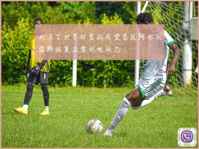 大马丁世界杯首战有望首发阿尔瓦雷斯恢复正常训练状态