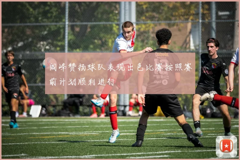 阎峰赞扬球队表现出色比赛按照赛前计划顺利进行