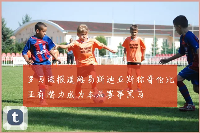 罗马诺报道路易斯迪亚斯称哥伦比亚有潜力成为本届赛事黑马
