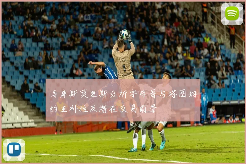 马库斯莫里斯分析字母哥与塔图姆的互补性及潜在交易前景